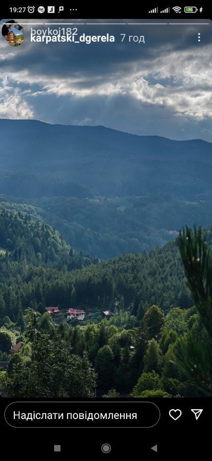 Vila Лісова Казка Jaremče Exteriér fotografie