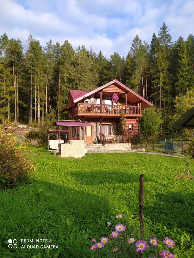 Vila Лісова Казка Jaremče Exteriér fotografie