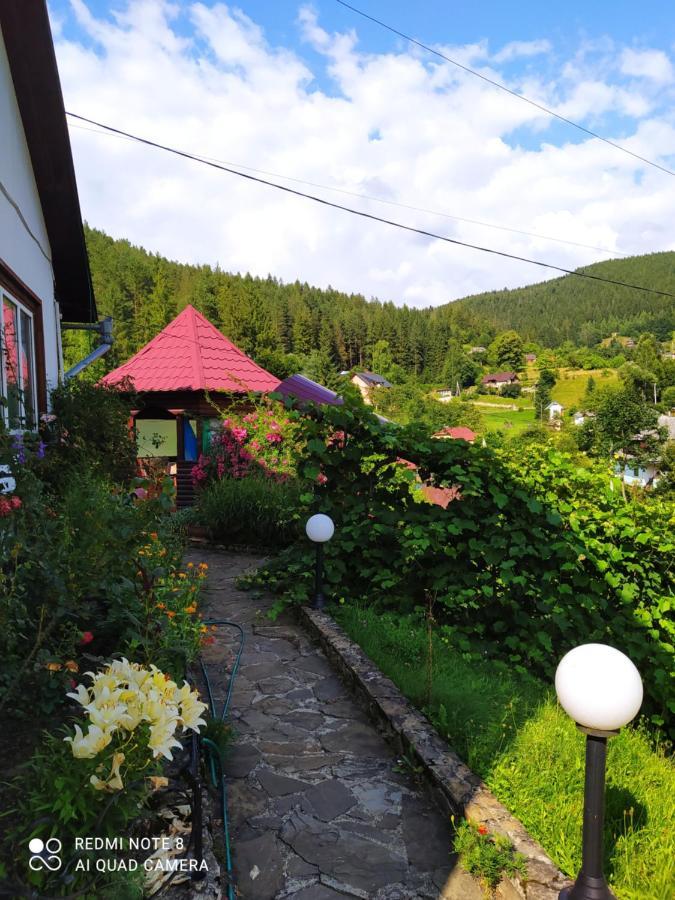Vila Лісова Казка Jaremče Exteriér fotografie