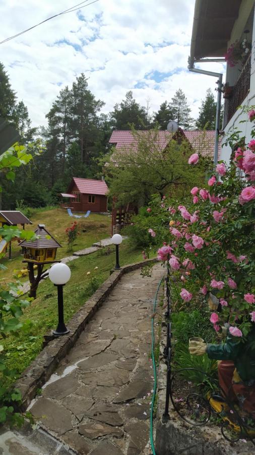 Vila Лісова Казка Jaremče Exteriér fotografie