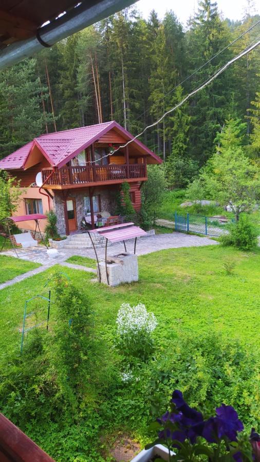 Vila Лісова Казка Jaremče Exteriér fotografie